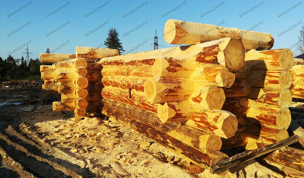Рубка-в-диком-стиле-2